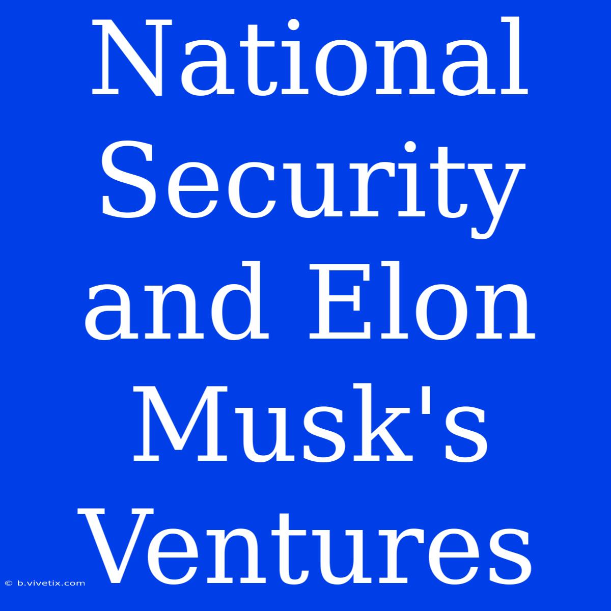 National Security And Elon Musk's Ventures