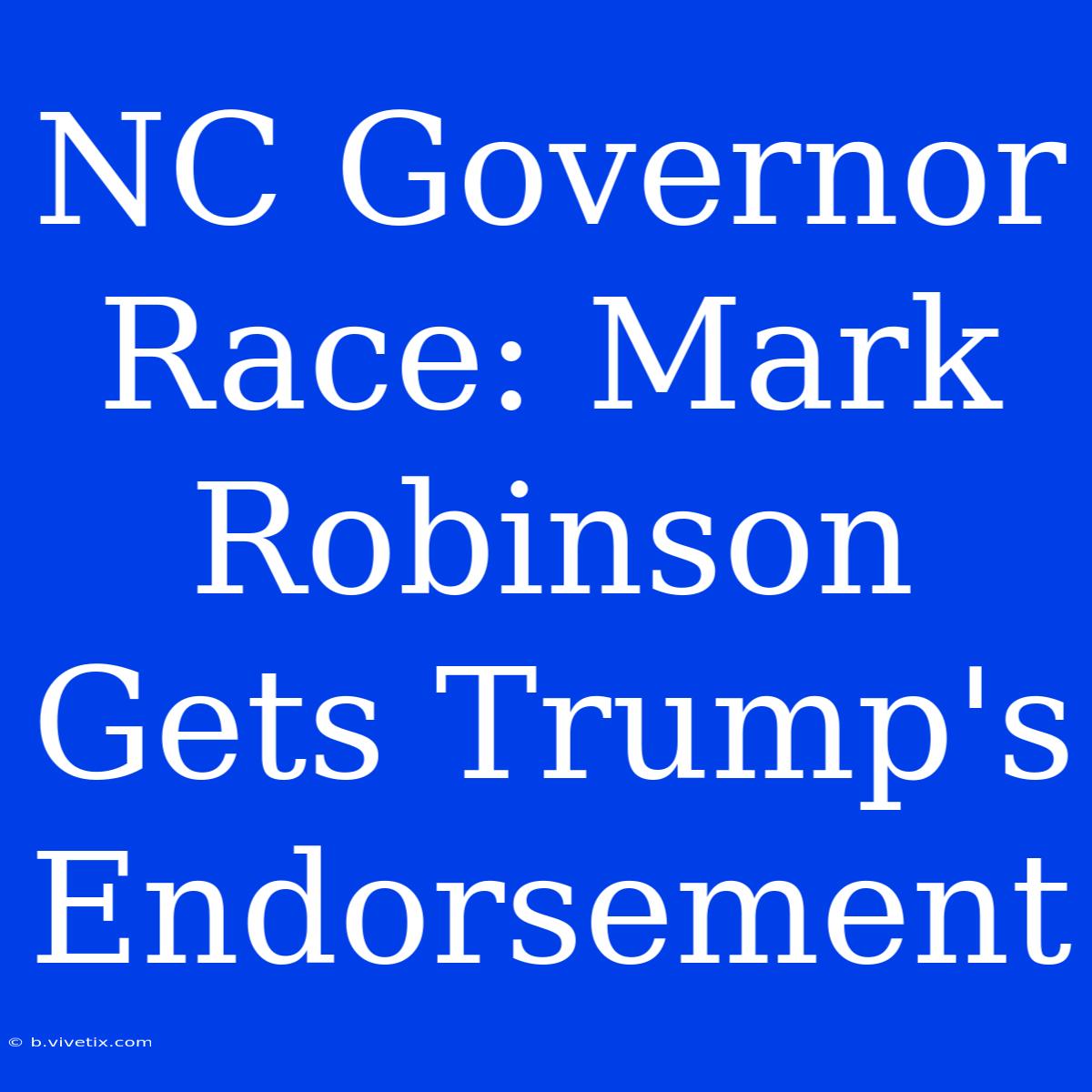 NC Governor Race: Mark Robinson Gets Trump's Endorsement 