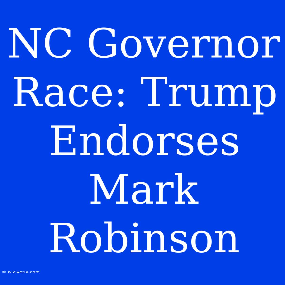 NC Governor Race: Trump Endorses Mark Robinson