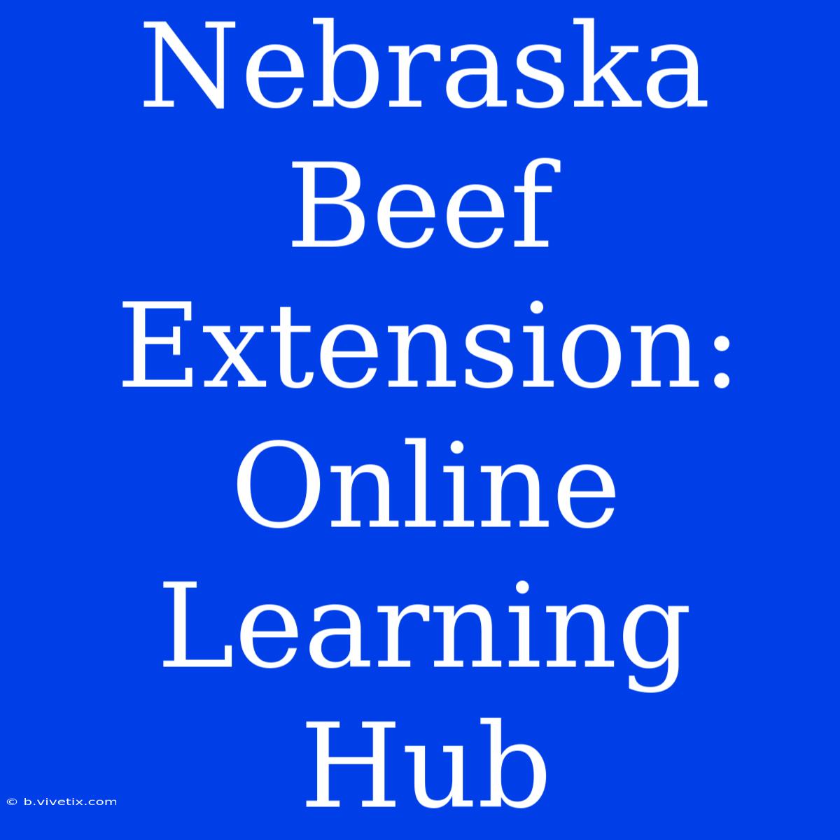 Nebraska Beef Extension: Online Learning Hub