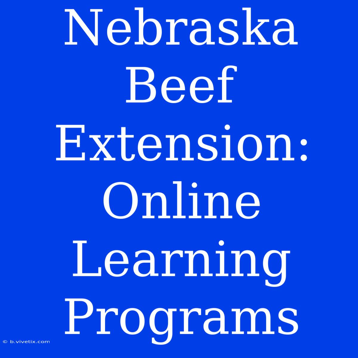 Nebraska Beef Extension: Online Learning Programs 