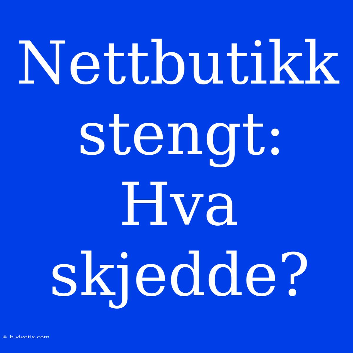 Nettbutikk Stengt: Hva Skjedde?