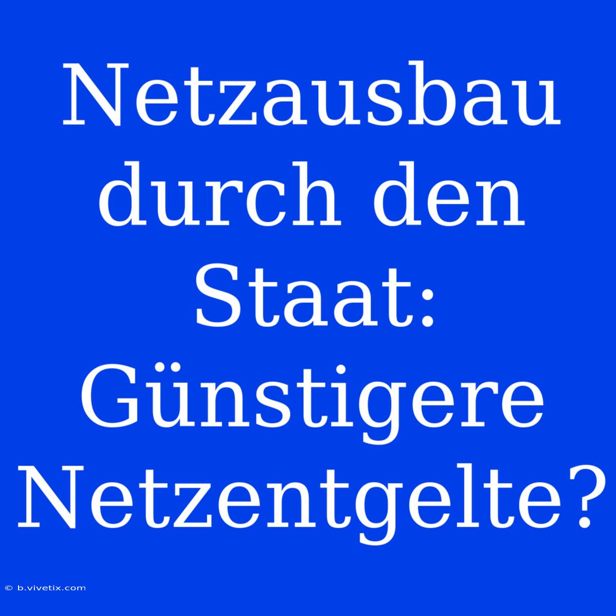 Netzausbau Durch Den Staat: Günstigere Netzentgelte?