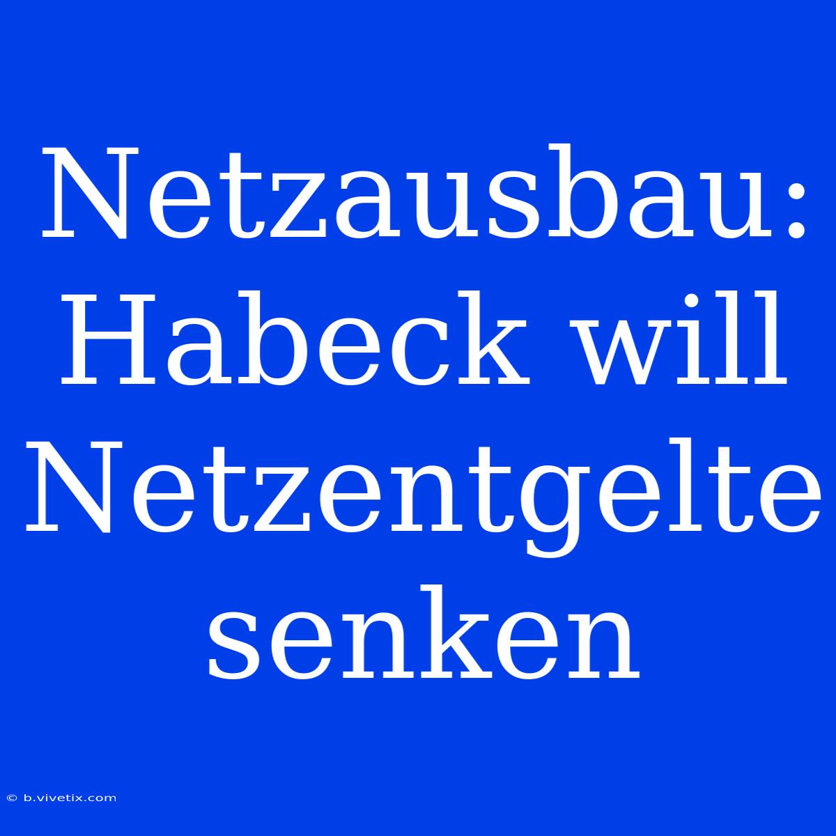 Netzausbau: Habeck Will Netzentgelte Senken