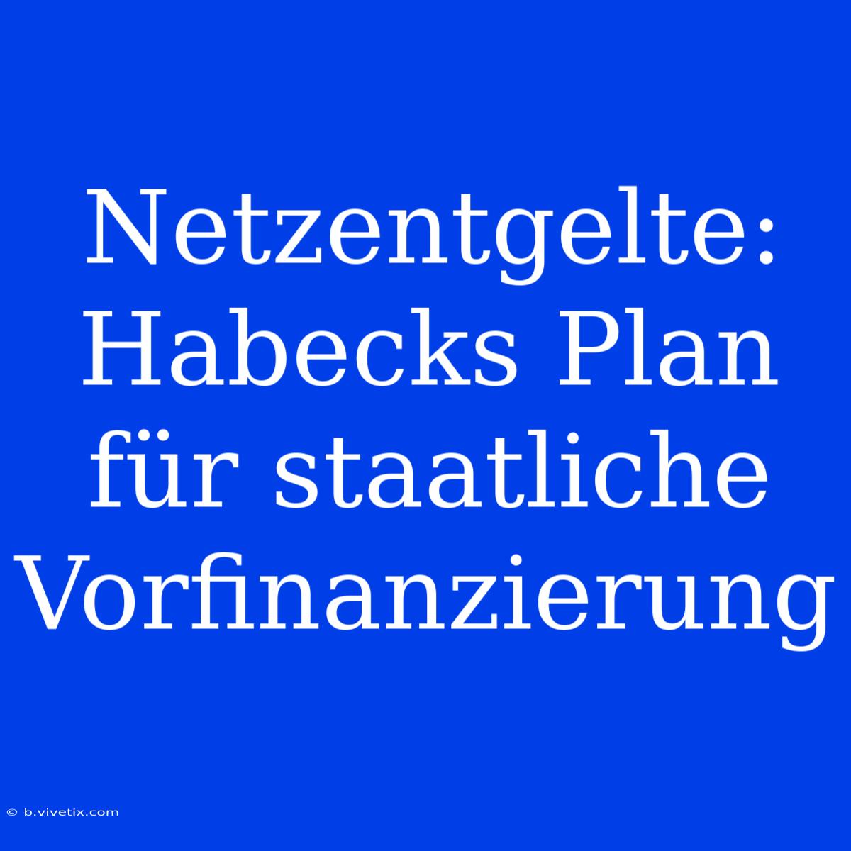 Netzentgelte: Habecks Plan Für Staatliche Vorfinanzierung