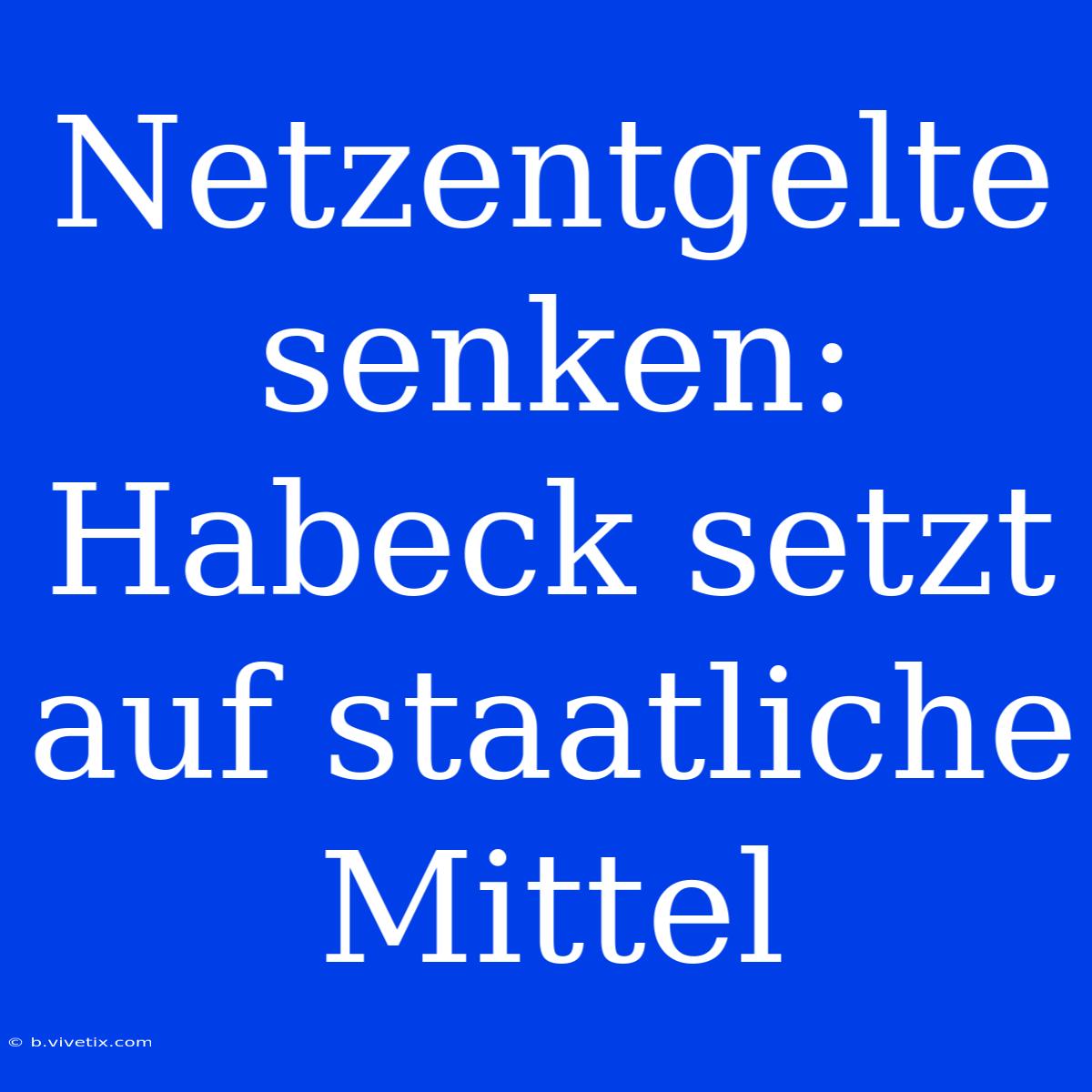 Netzentgelte Senken: Habeck Setzt Auf Staatliche Mittel 