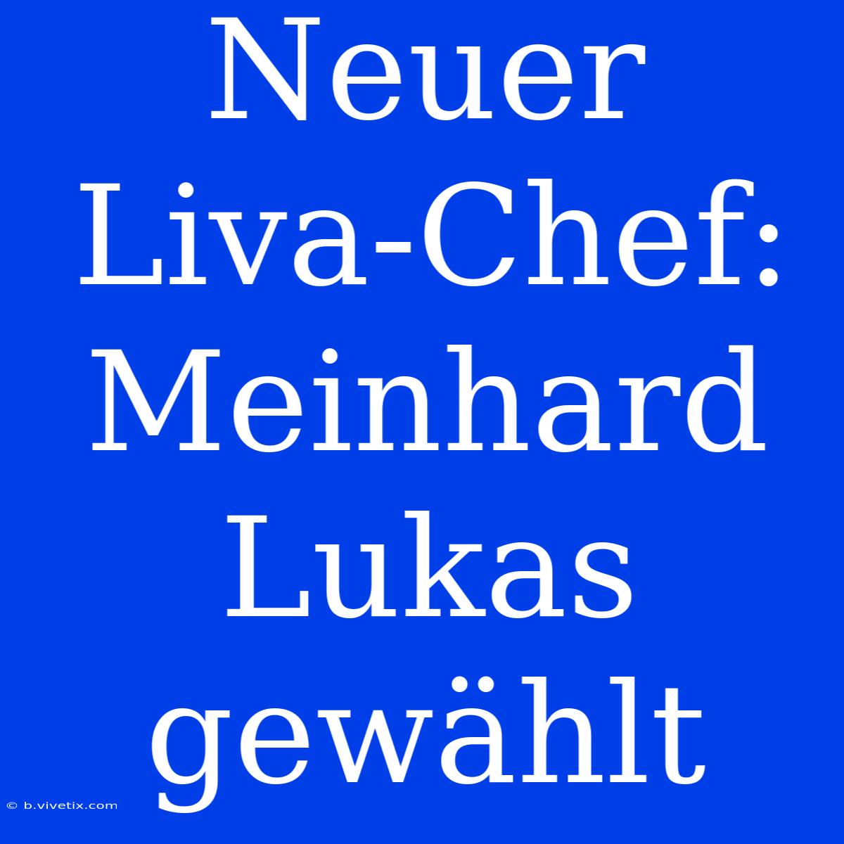 Neuer Liva-Chef: Meinhard Lukas Gewählt