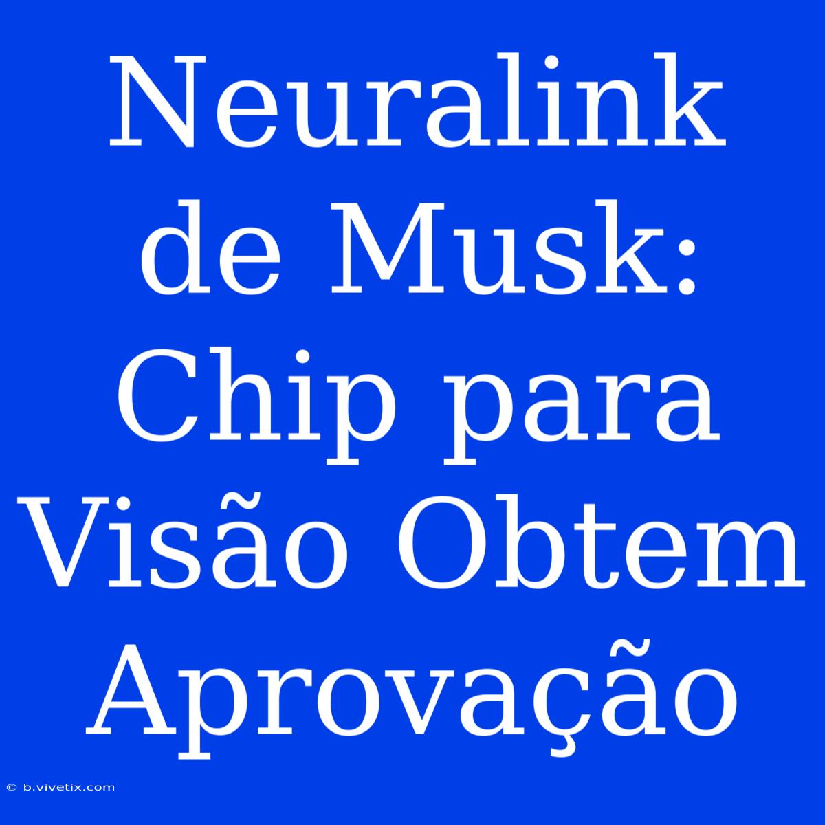 Neuralink De Musk: Chip Para Visão Obtem Aprovação 