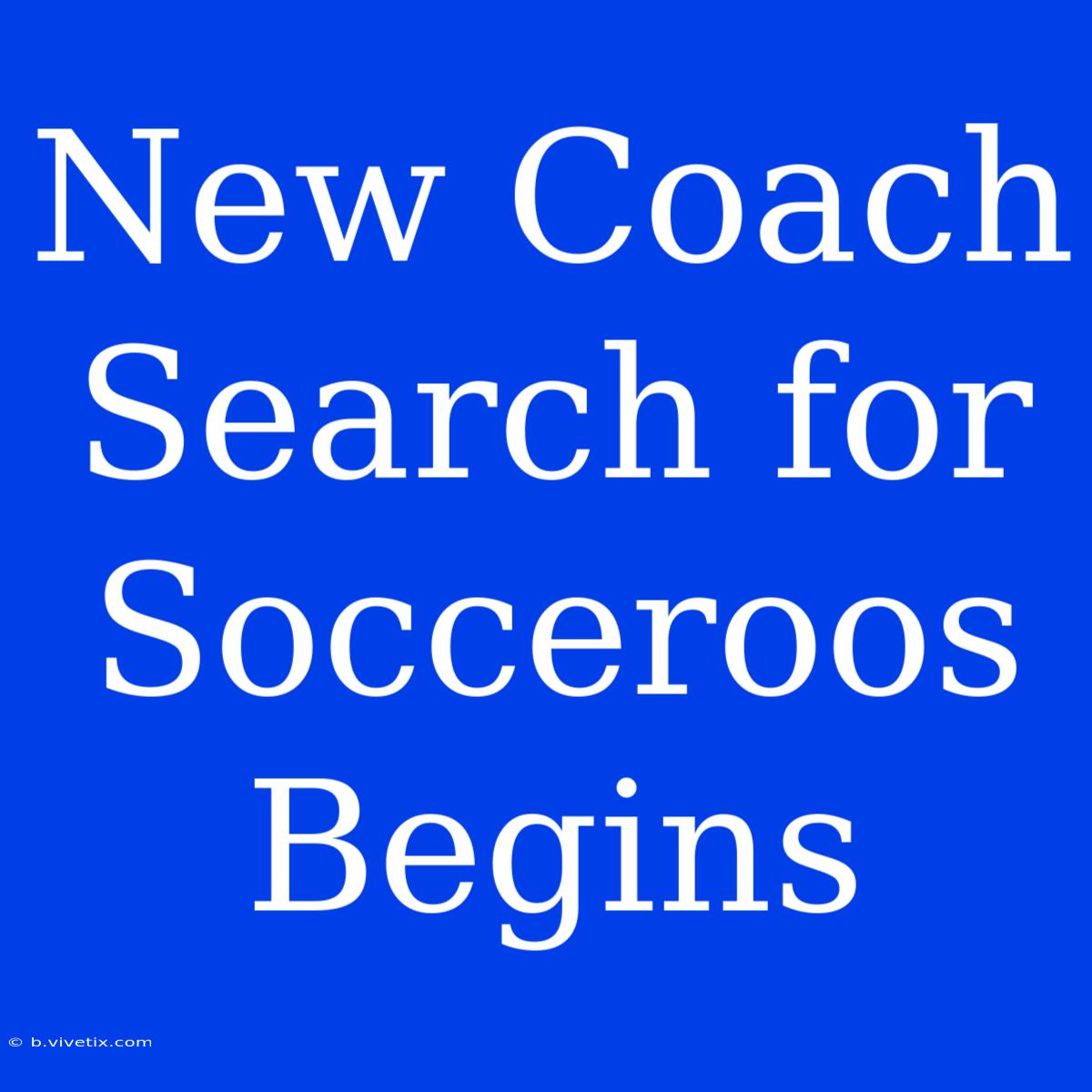 New Coach Search For Socceroos Begins