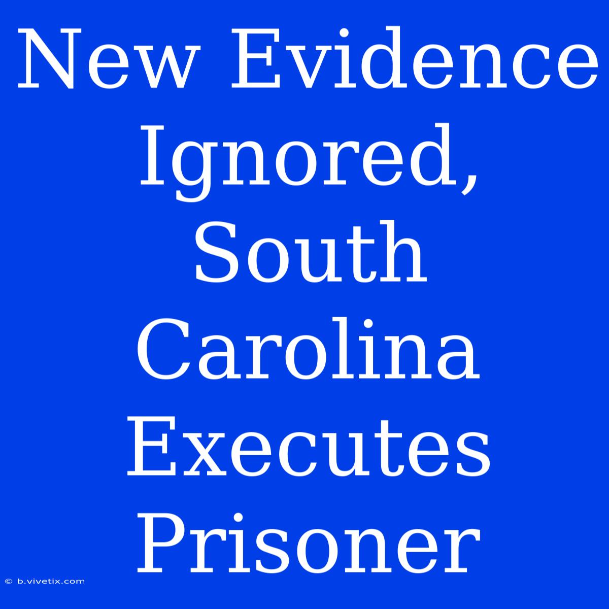 New Evidence Ignored, South Carolina Executes Prisoner 