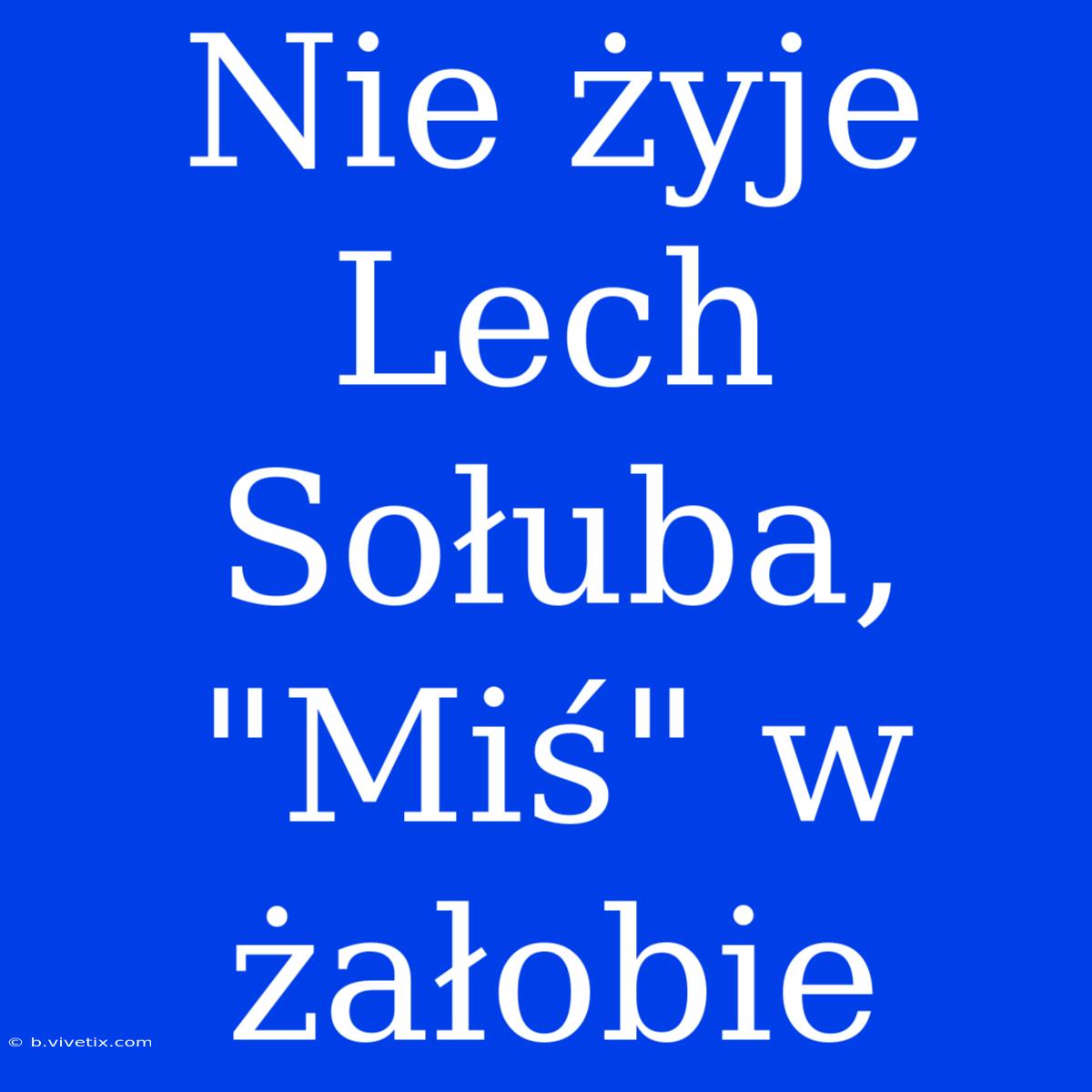 Nie Żyje Lech Sołuba, 