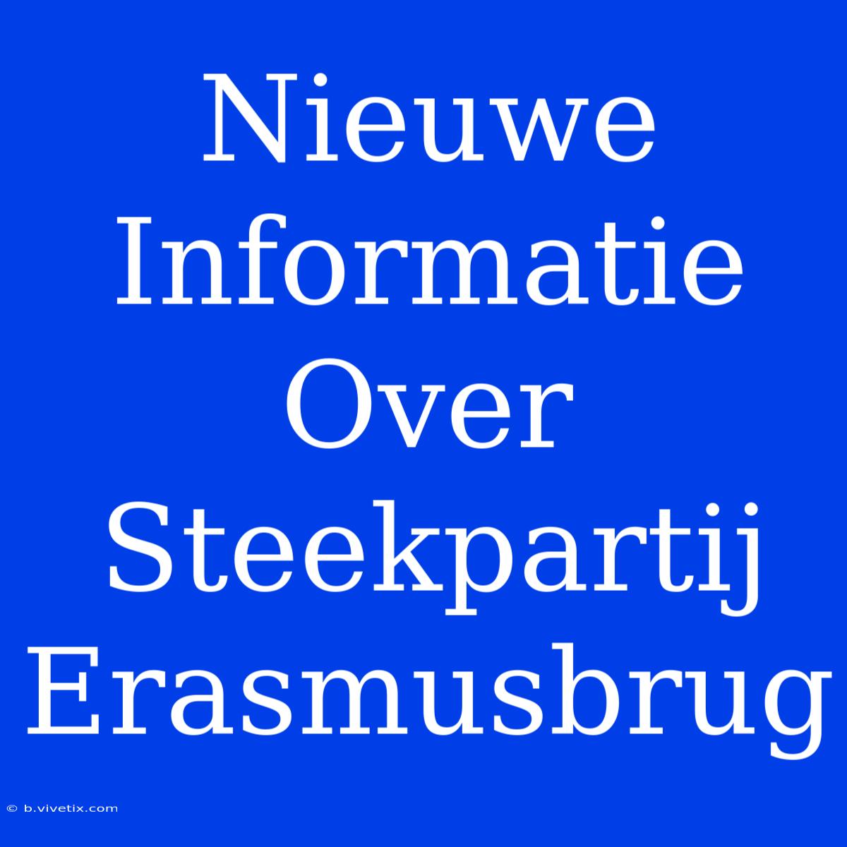 Nieuwe Informatie Over Steekpartij Erasmusbrug