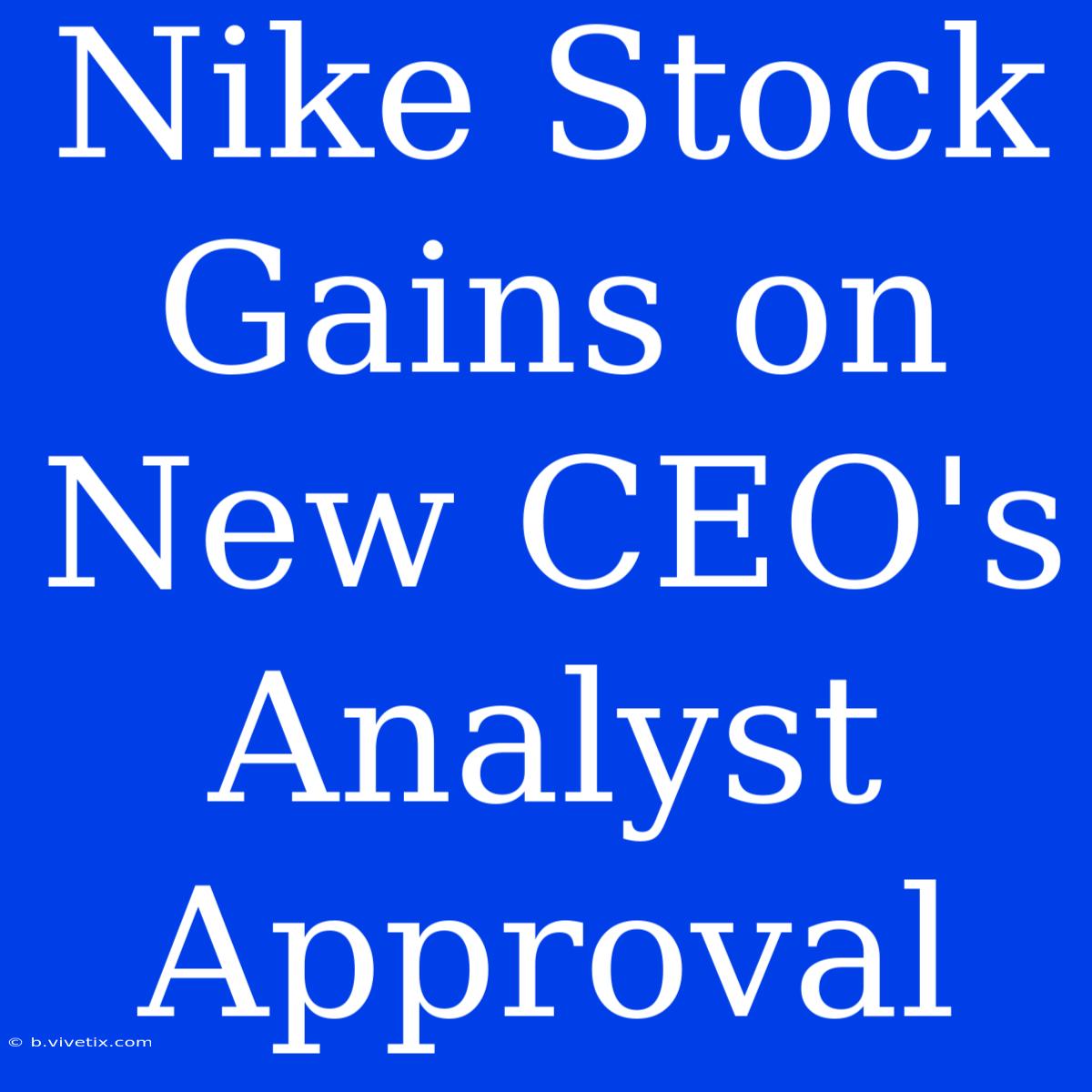 Nike Stock Gains On New CEO's Analyst Approval