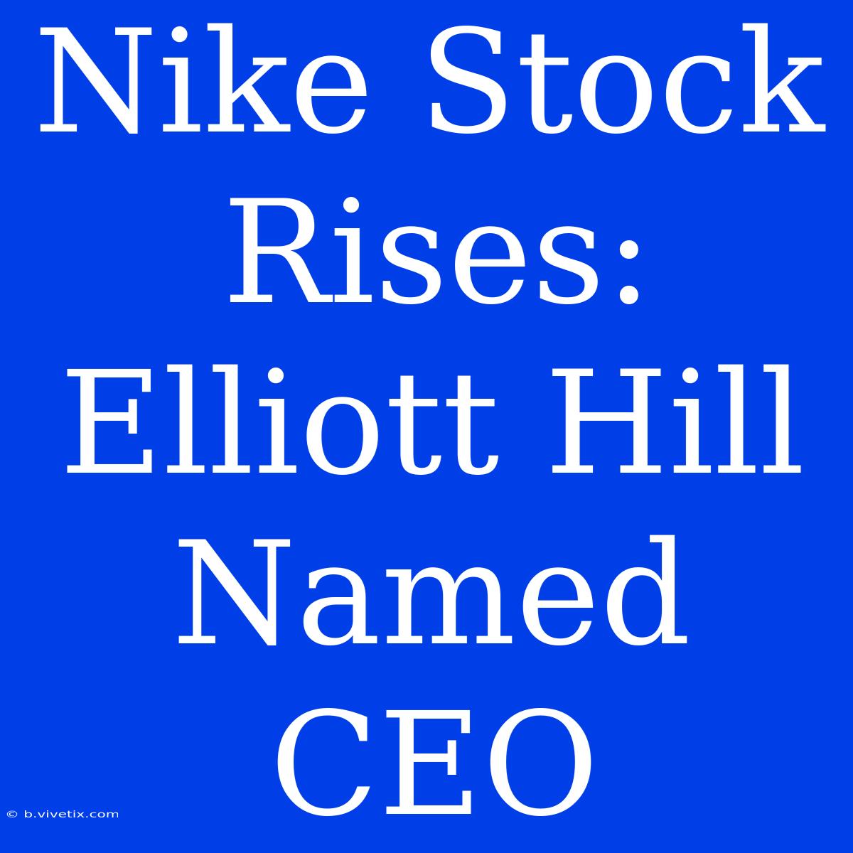 Nike Stock Rises: Elliott Hill Named CEO