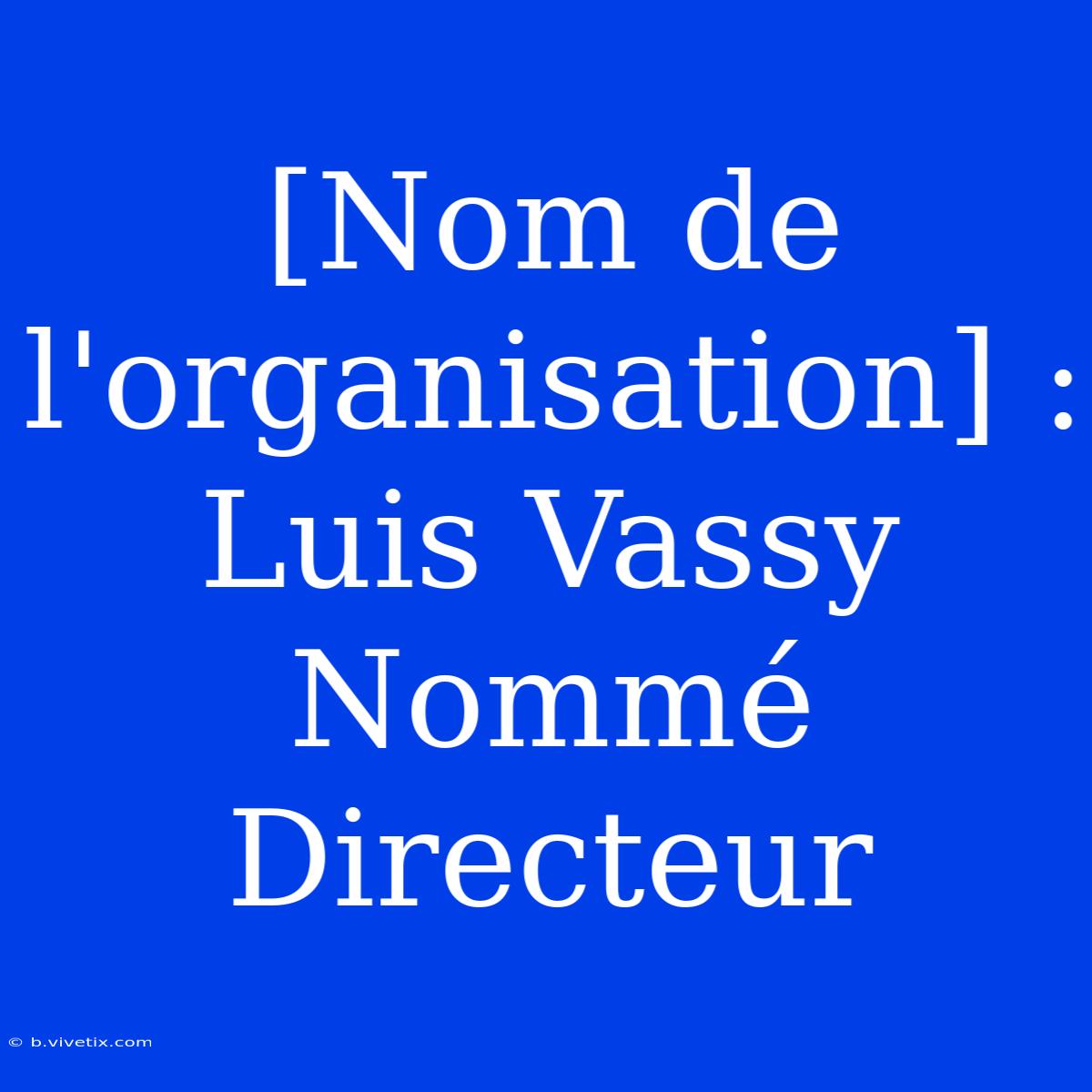 [Nom De L'organisation] : Luis Vassy Nommé Directeur