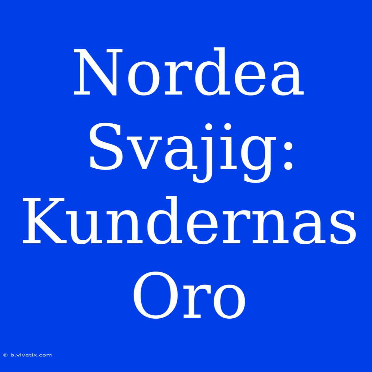 Nordea Svajig: Kundernas Oro