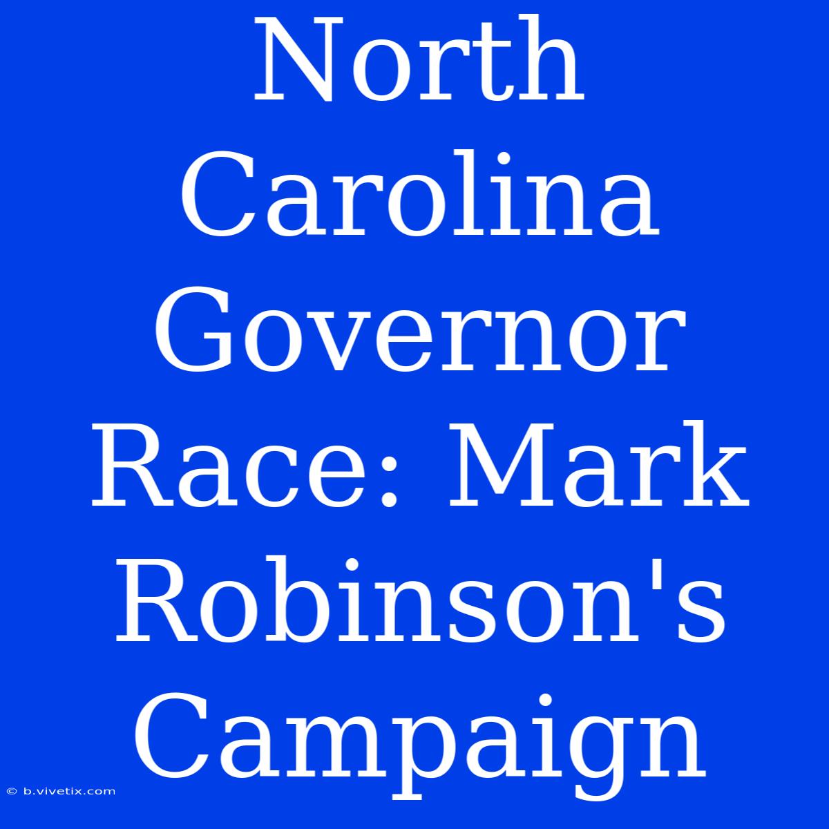 North Carolina Governor Race: Mark Robinson's Campaign