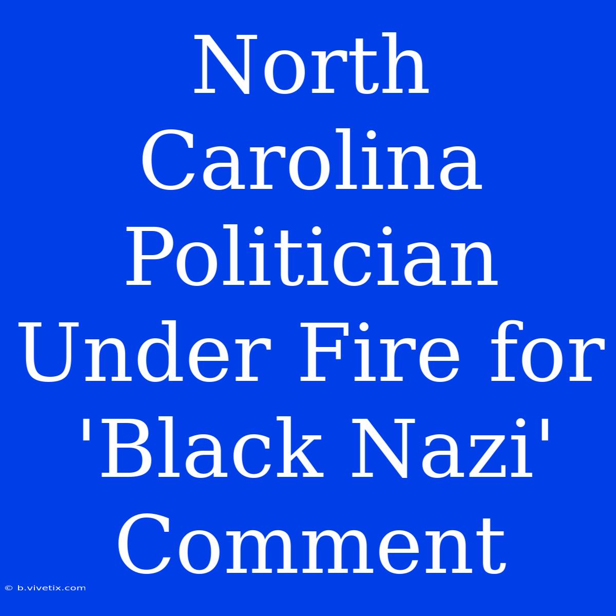 North Carolina Politician Under Fire For 'Black Nazi' Comment