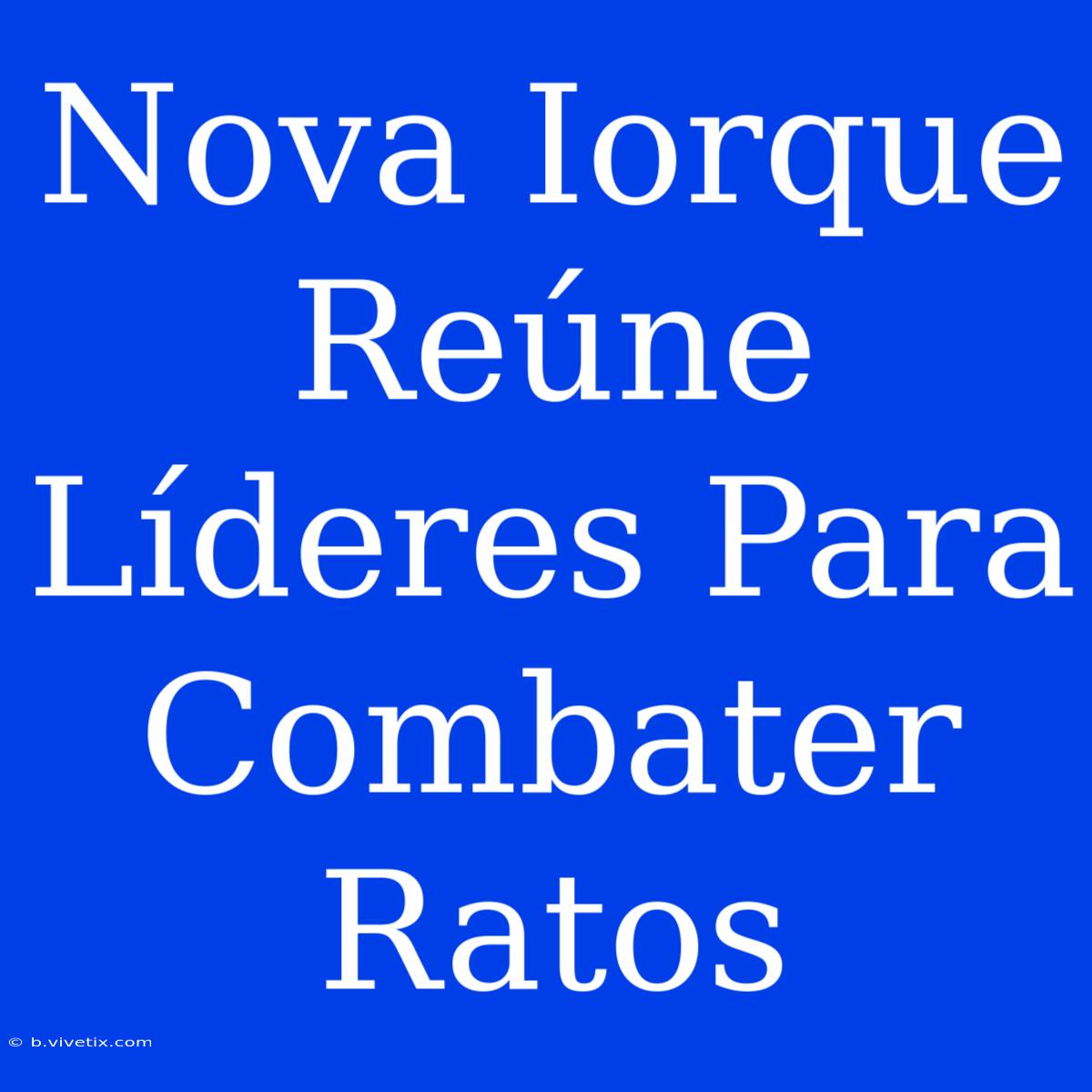 Nova Iorque Reúne Líderes Para Combater Ratos