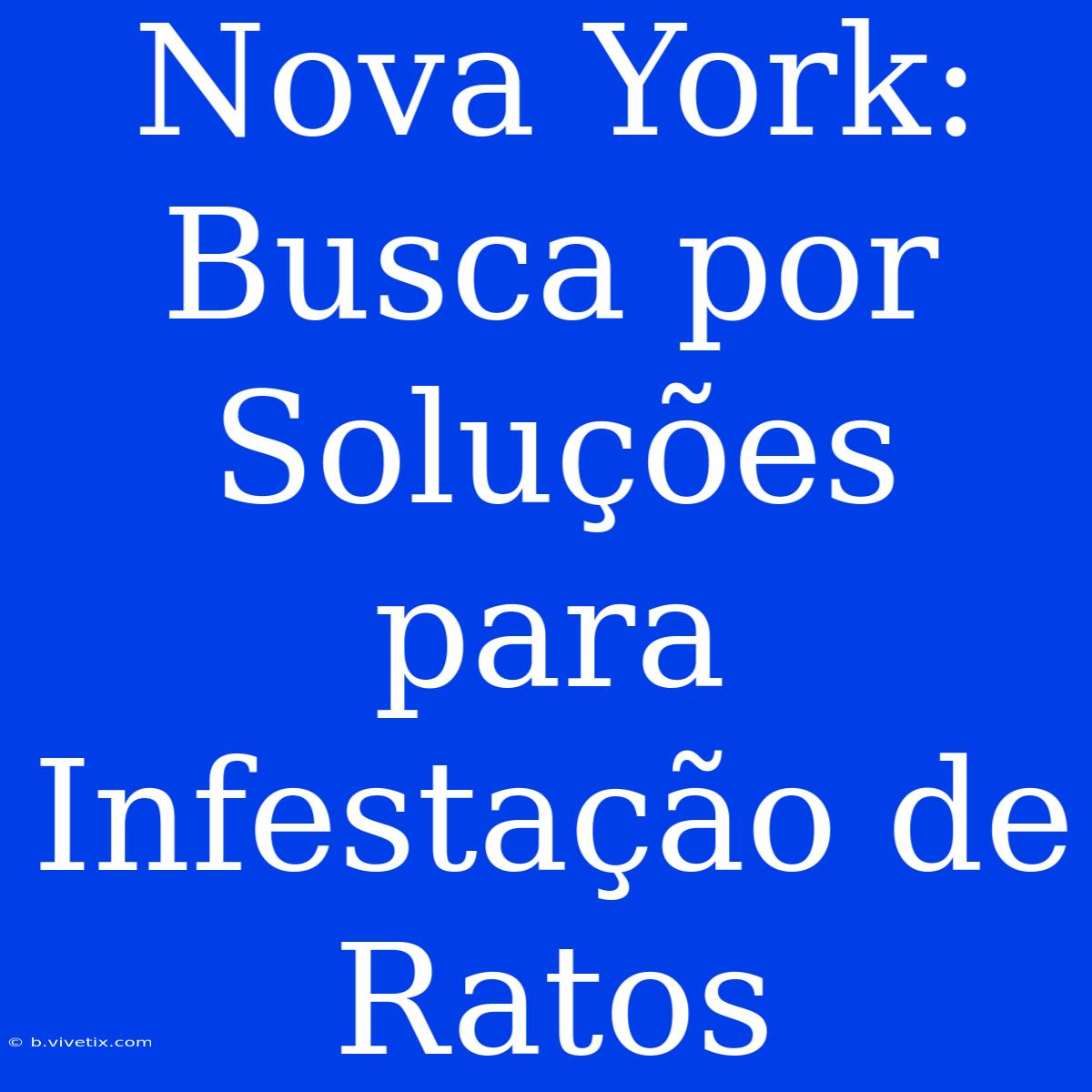 Nova York:  Busca Por Soluções Para Infestação De Ratos