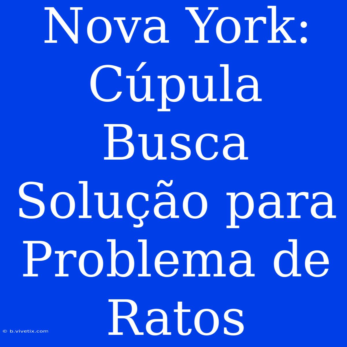 Nova York: Cúpula Busca Solução Para Problema De Ratos