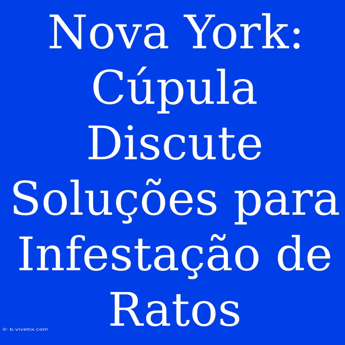 Nova York: Cúpula Discute Soluções Para Infestação De Ratos