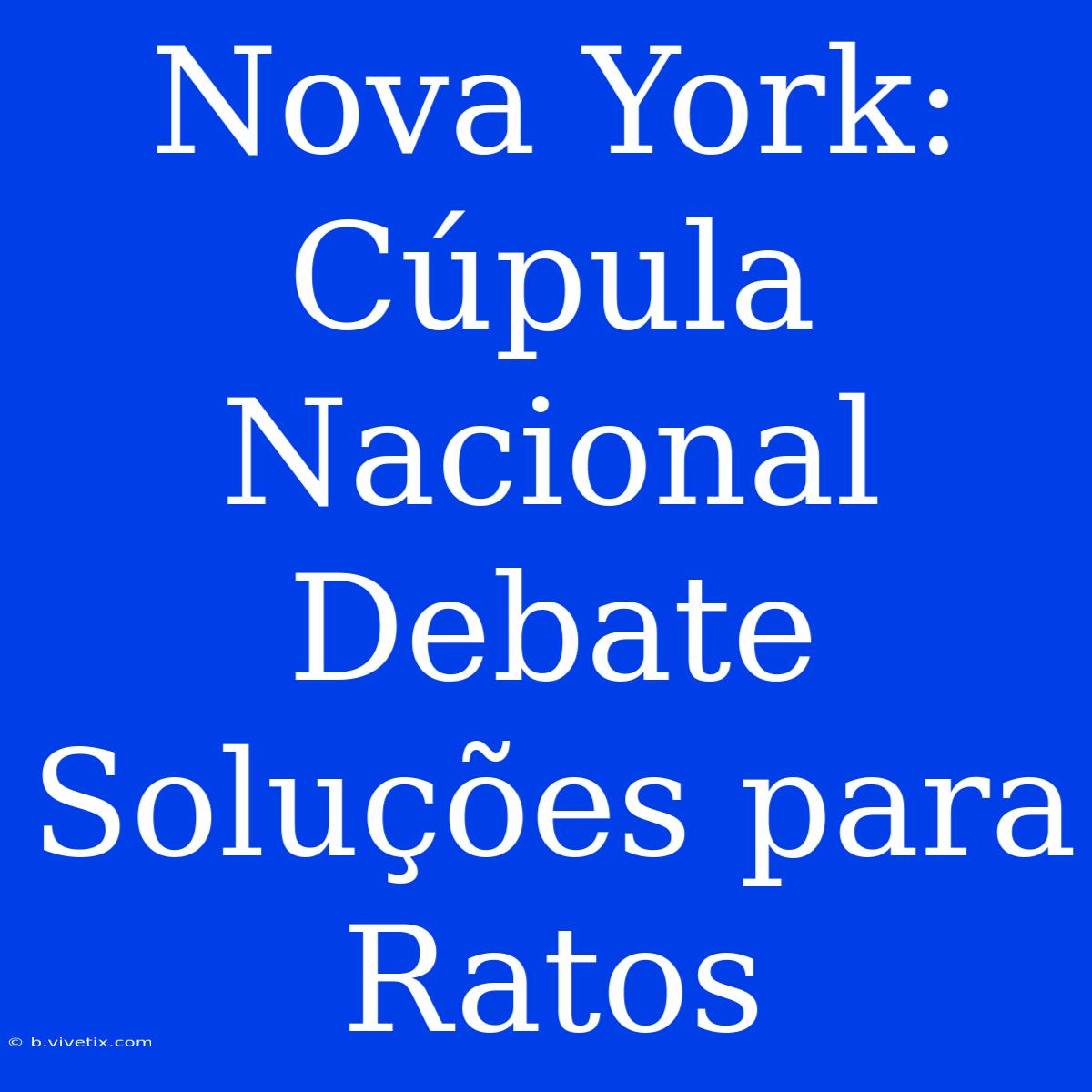 Nova York: Cúpula Nacional Debate Soluções Para Ratos