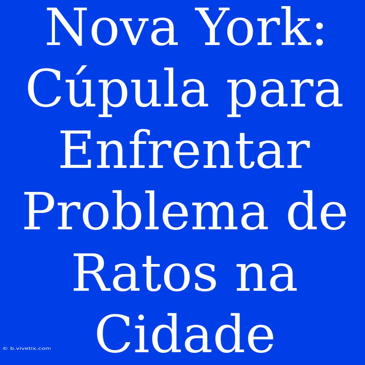 Nova York: Cúpula Para Enfrentar Problema De Ratos Na Cidade