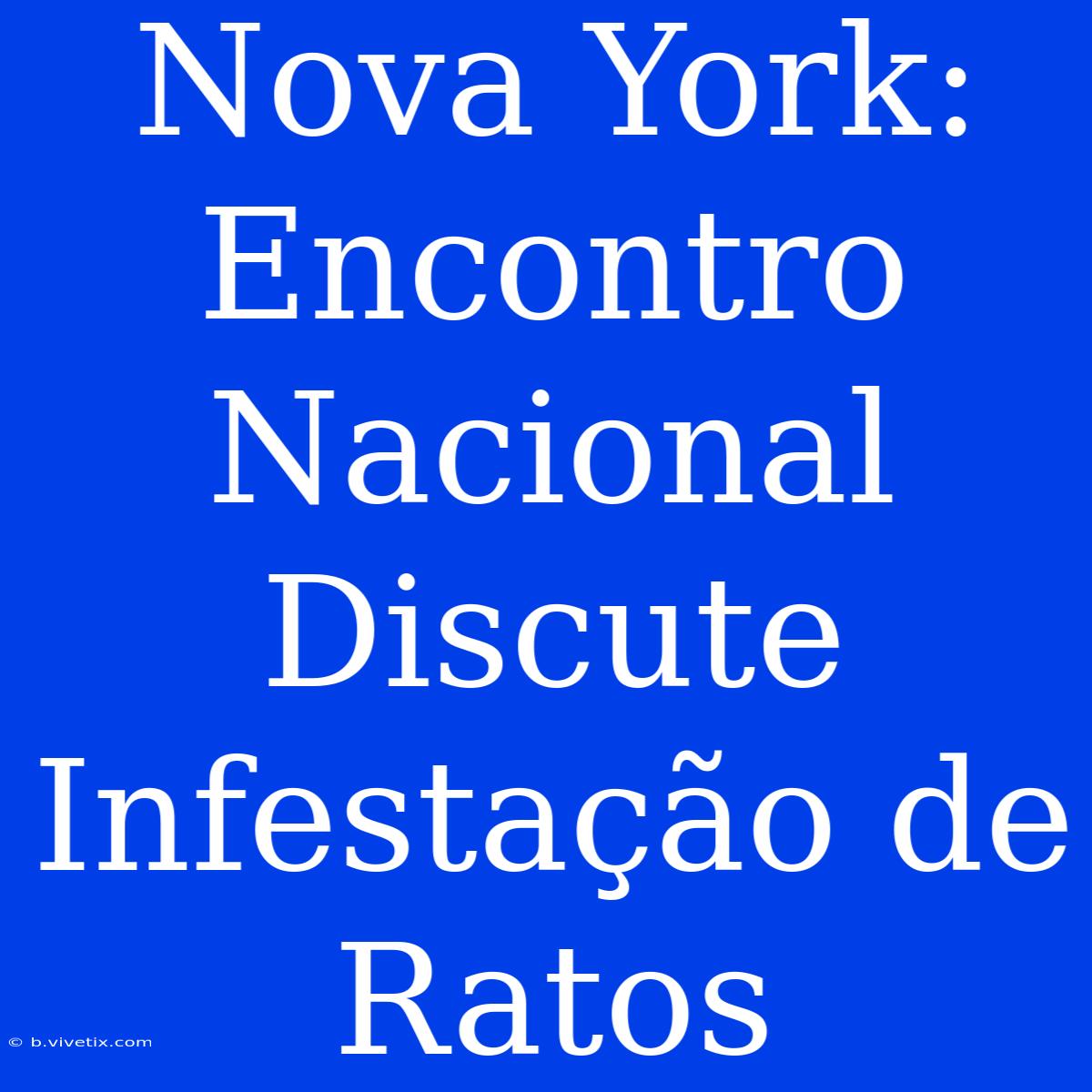 Nova York: Encontro Nacional Discute Infestação De Ratos