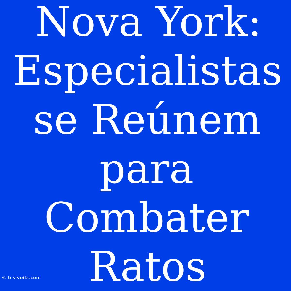 Nova York:  Especialistas Se Reúnem Para Combater Ratos