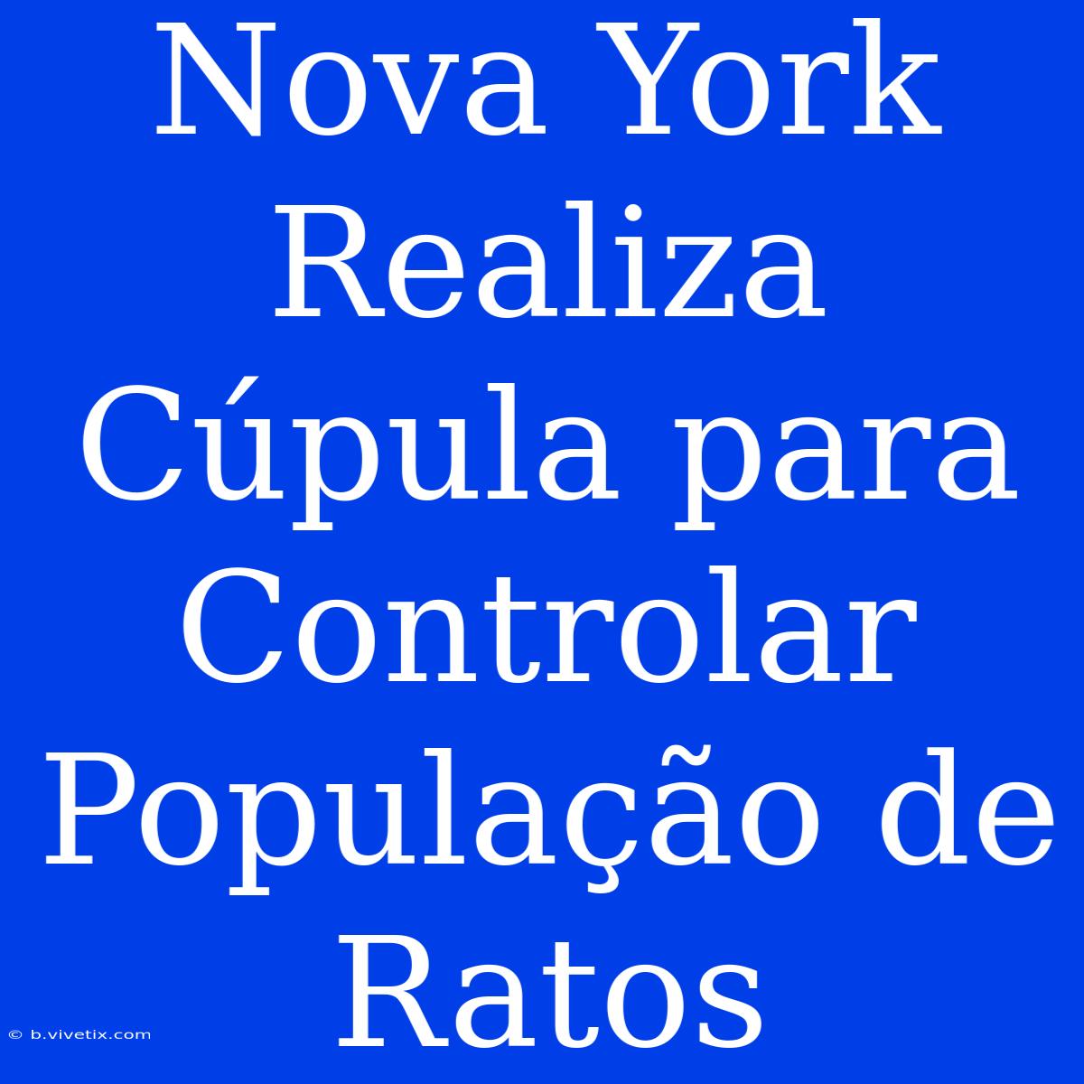 Nova York Realiza Cúpula Para Controlar População De Ratos 