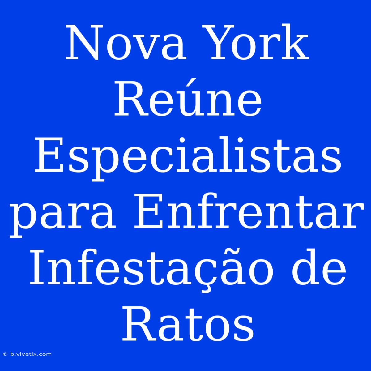 Nova York Reúne Especialistas Para Enfrentar Infestação De Ratos