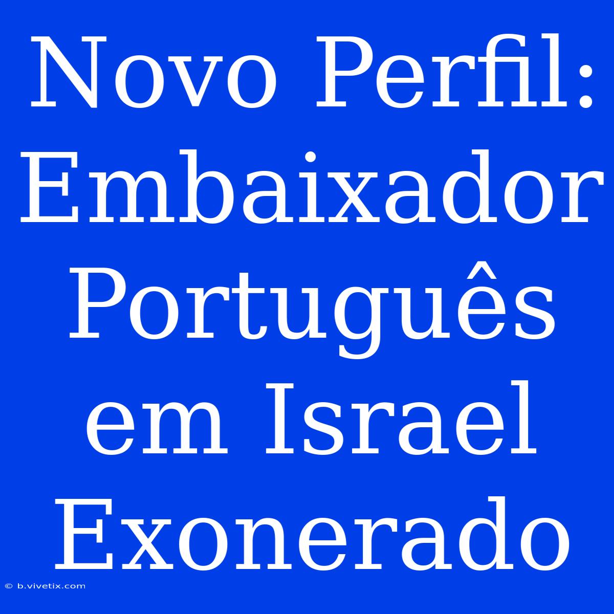 Novo Perfil: Embaixador Português Em Israel Exonerado