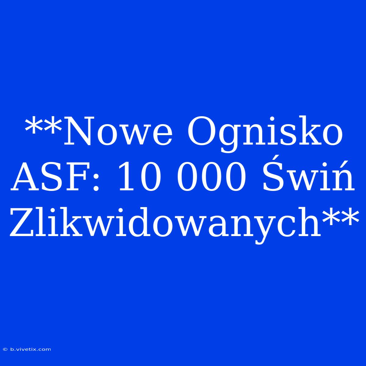 **Nowe Ognisko ASF: 10 000 Świń Zlikwidowanych** 