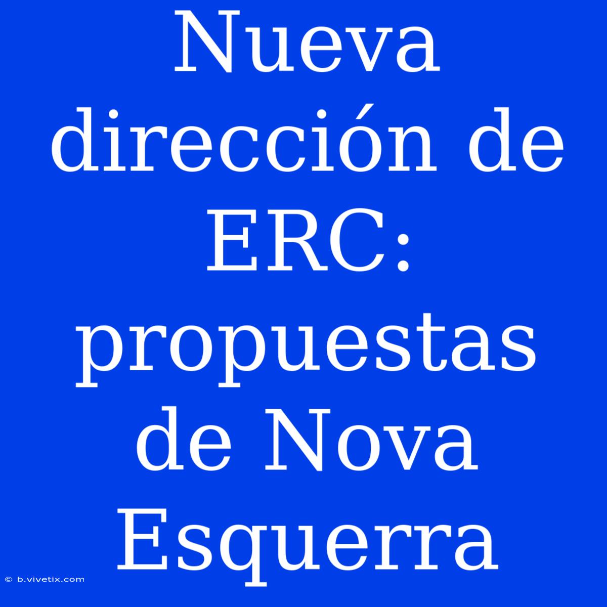 Nueva Dirección De ERC: Propuestas De Nova Esquerra