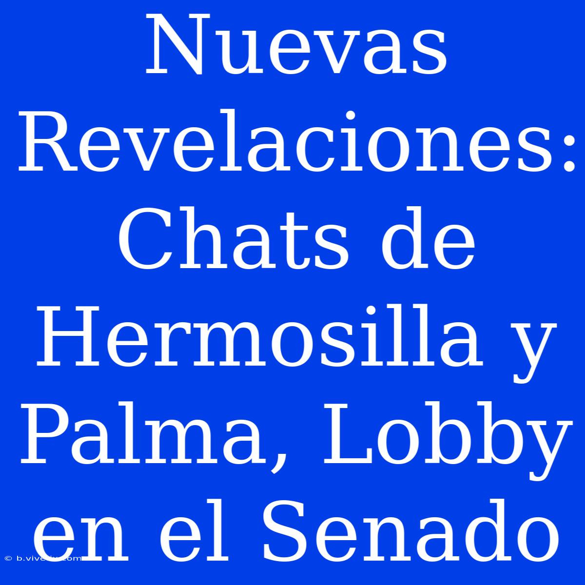 Nuevas Revelaciones: Chats De Hermosilla Y Palma, Lobby En El Senado 