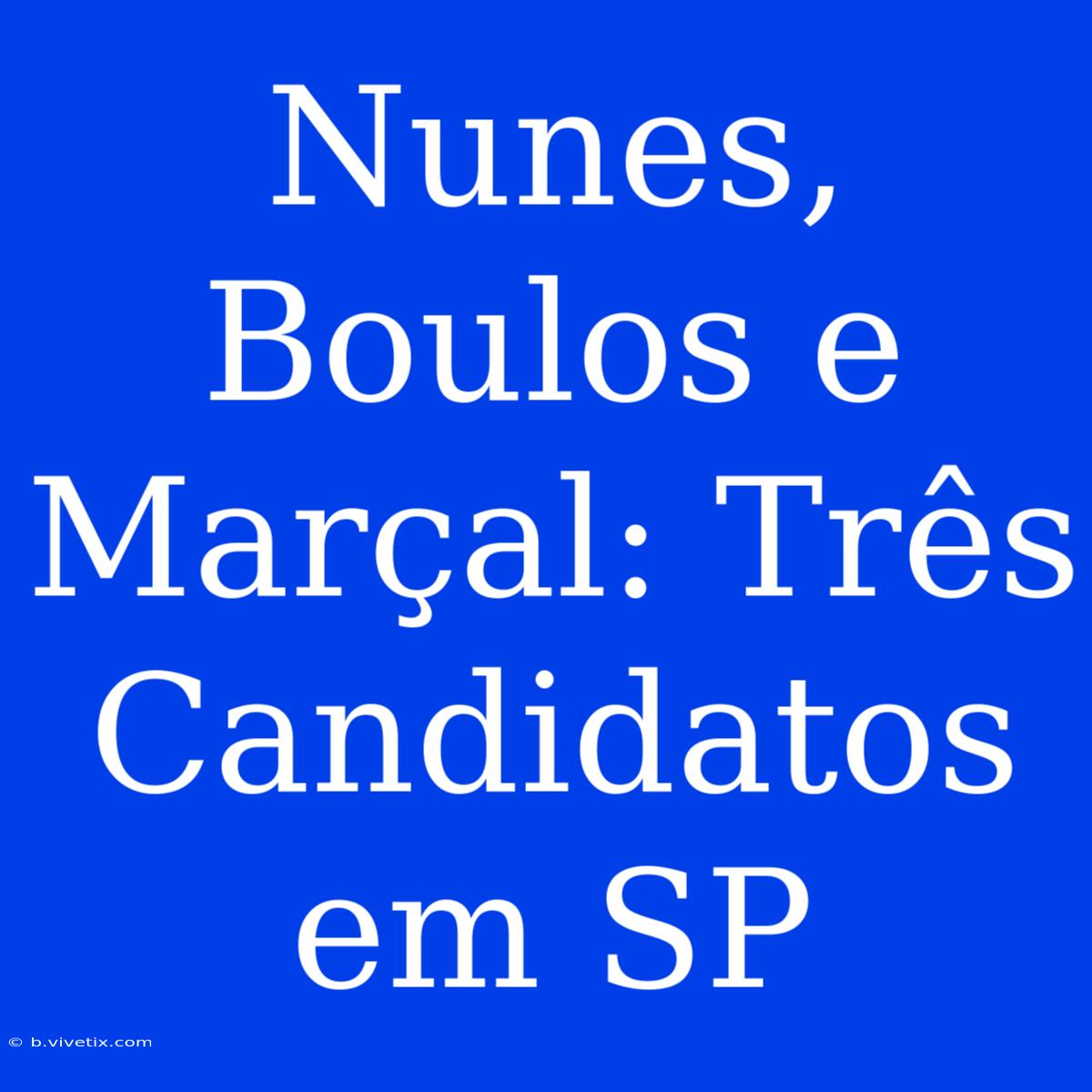 Nunes, Boulos E Marçal: Três Candidatos Em SP