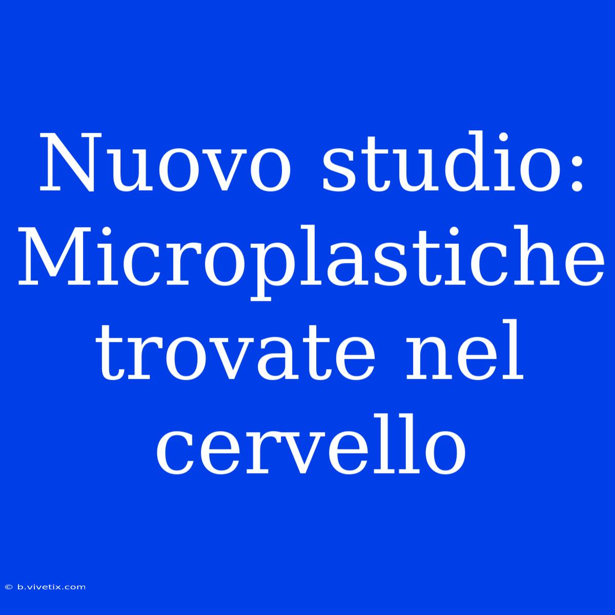 Nuovo Studio: Microplastiche Trovate Nel Cervello