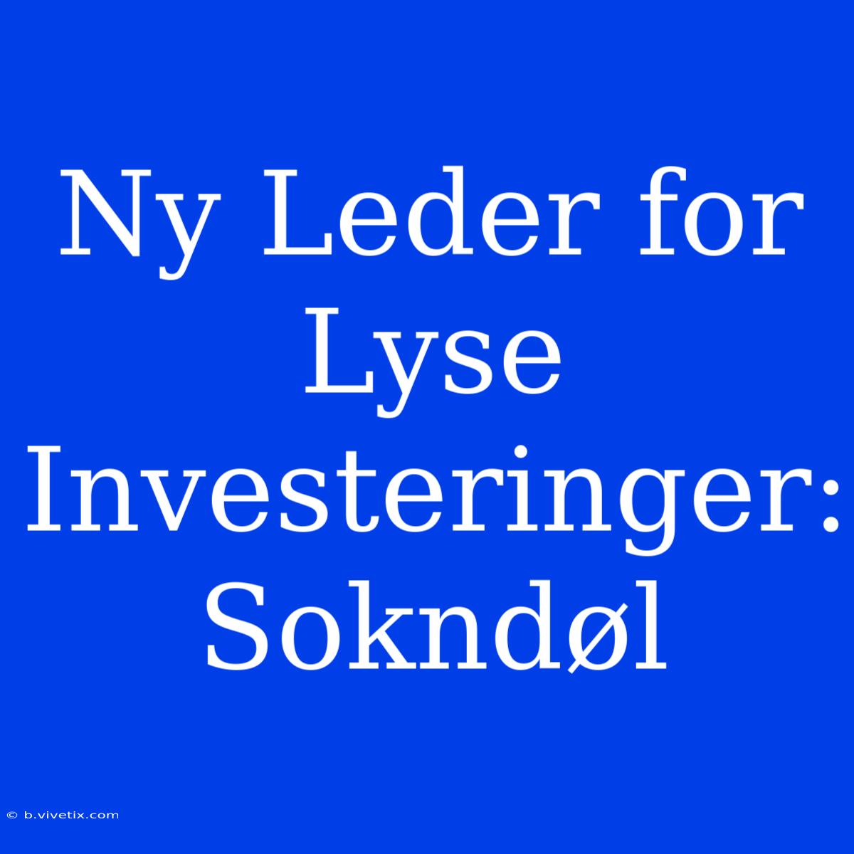 Ny Leder For Lyse Investeringer: Sokndøl