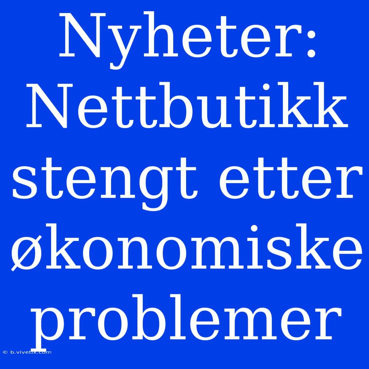 Nyheter: Nettbutikk Stengt Etter Økonomiske Problemer