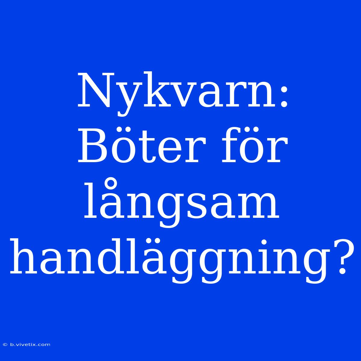 Nykvarn: Böter För Långsam Handläggning?