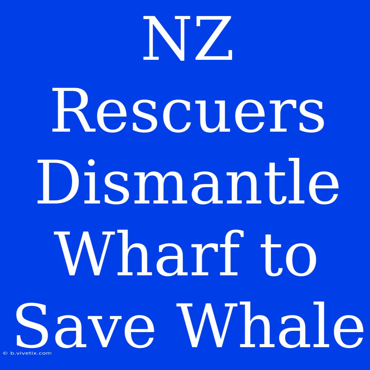 NZ Rescuers Dismantle Wharf To Save Whale