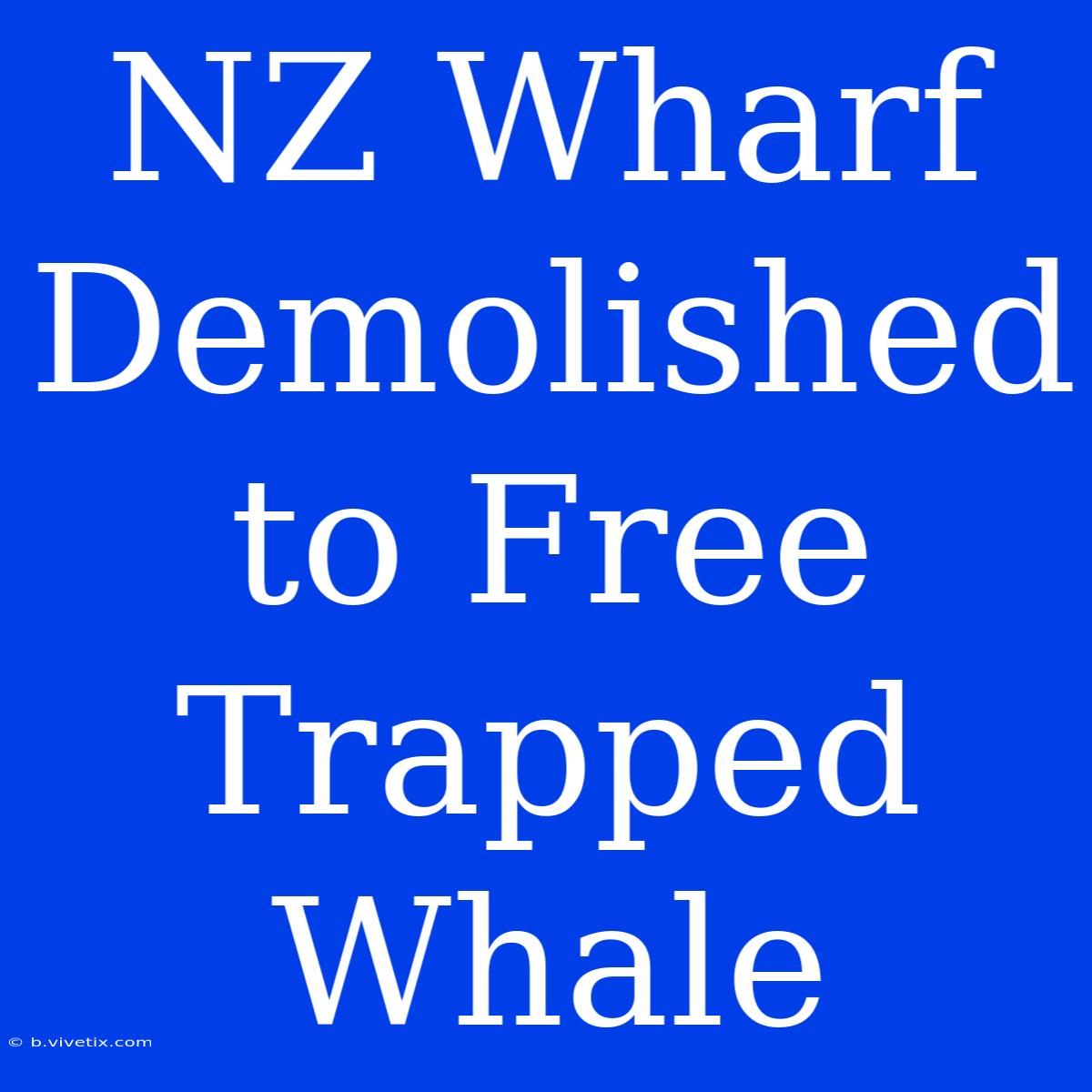 NZ Wharf Demolished To Free Trapped Whale