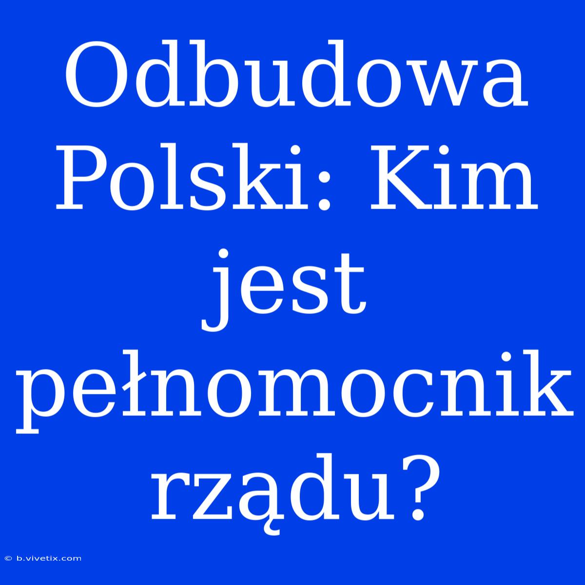 Odbudowa Polski: Kim Jest Pełnomocnik Rządu?