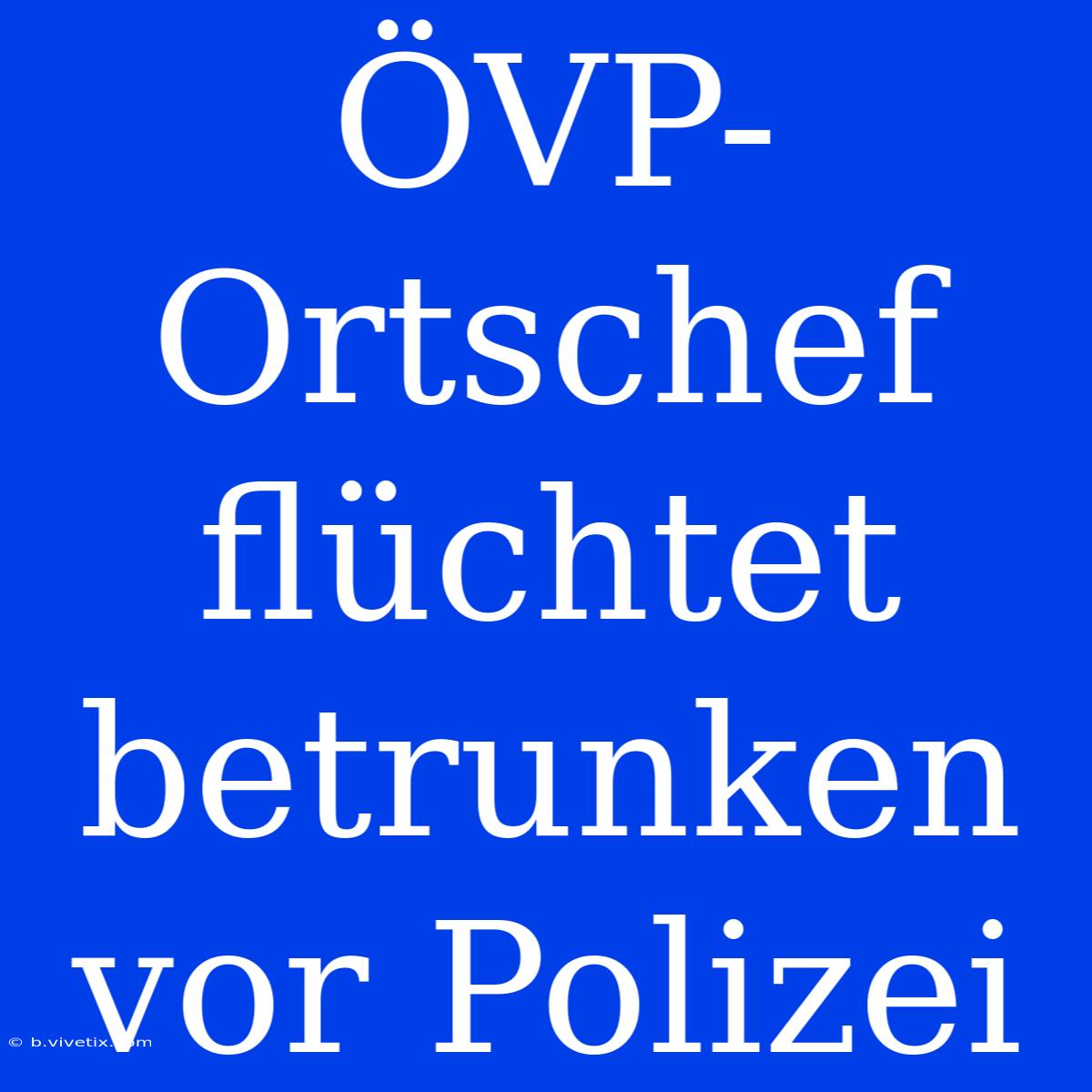 ÖVP-Ortschef Flüchtet Betrunken Vor Polizei