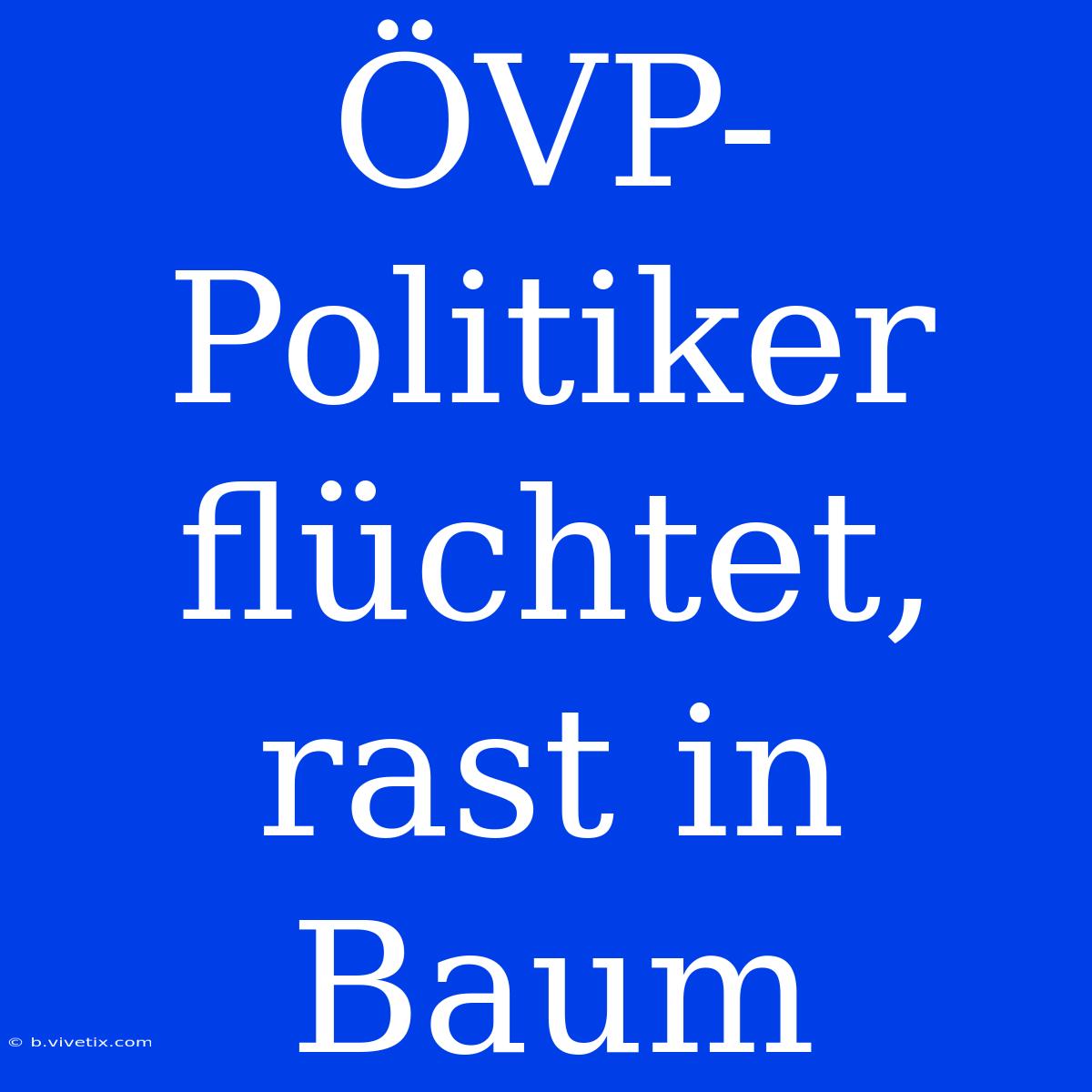 ÖVP-Politiker Flüchtet, Rast In Baum