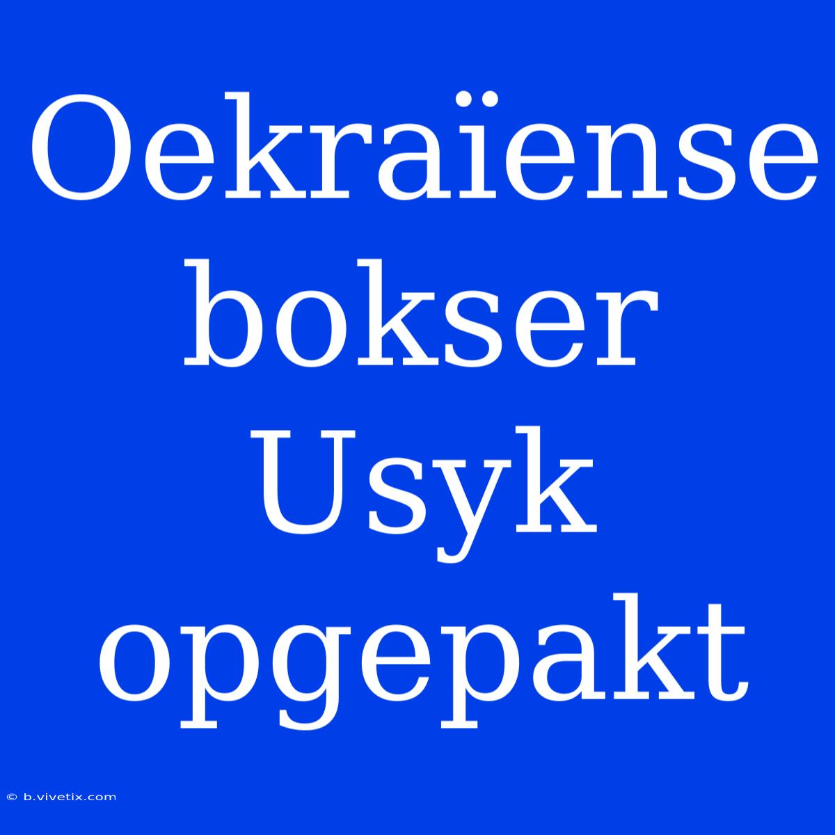 Oekraïense Bokser Usyk Opgepakt