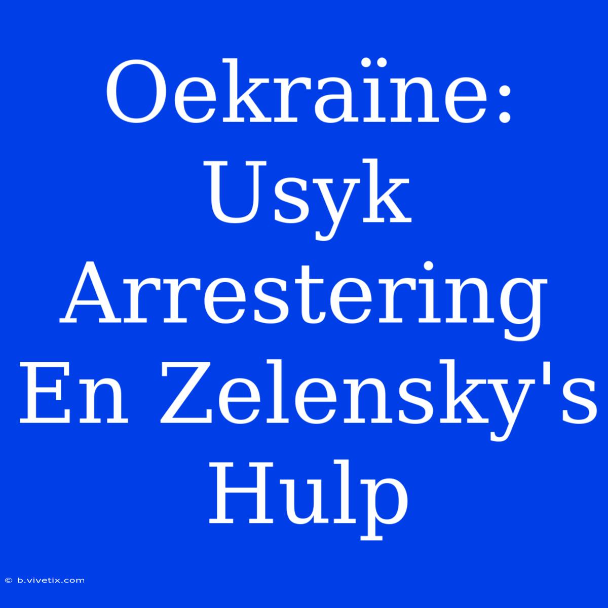 Oekraïne: Usyk Arrestering En Zelensky's Hulp