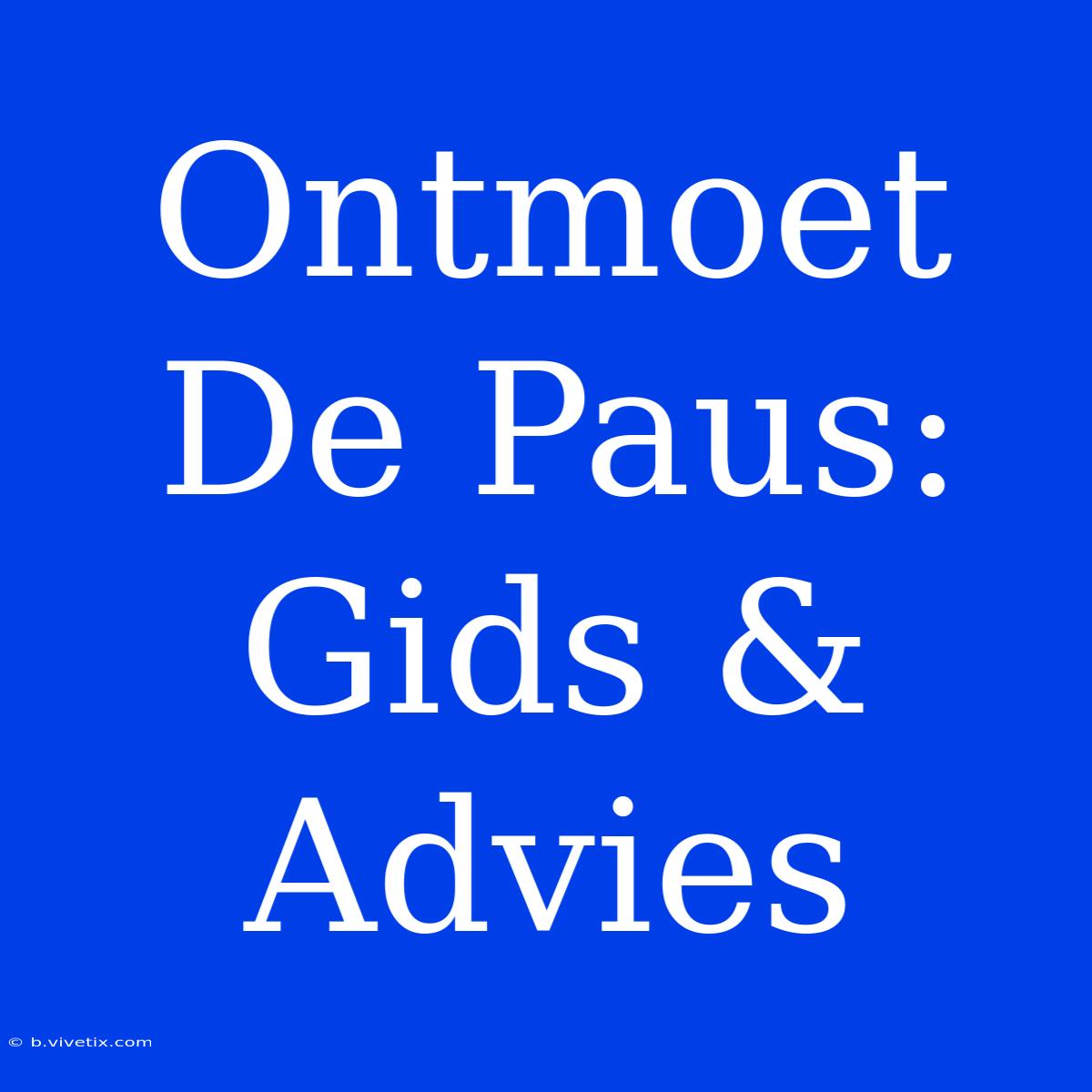 Ontmoet De Paus: Gids & Advies