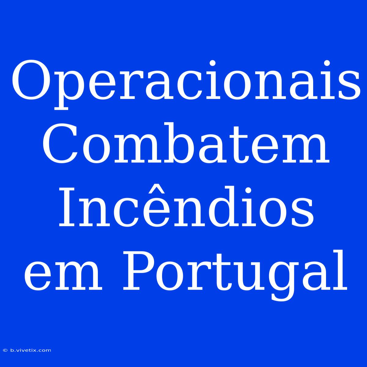 Operacionais Combatem Incêndios Em Portugal